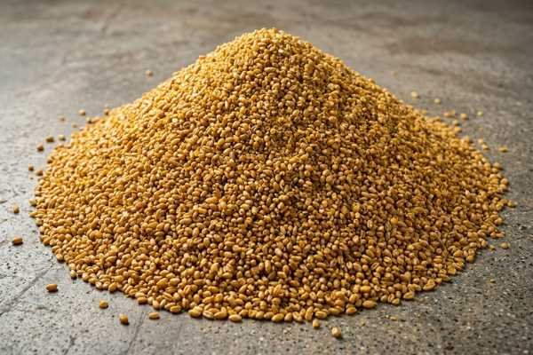 DDGS for Animal Feed